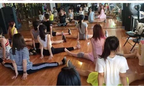 湖南省貞奇舞藝術培訓中心全面評測 教學理念、課程特色與學員反饋