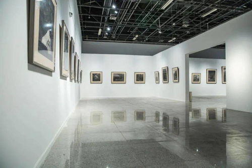 三展聯動 藝術、創新與傳承的視覺盛宴